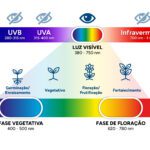 Nossas soluções espectro luz infografico