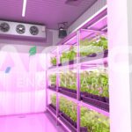 Nossas soluções syngenta holambra render 14.2